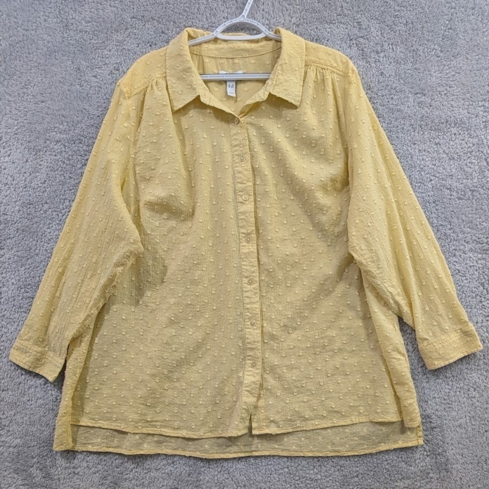 D&Co Women's 3X Swiss Dot‎ Long Sleeve Button Up Shirt Butter Yellow Collared